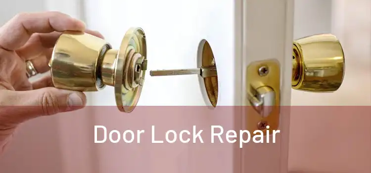 Door Lock Repair