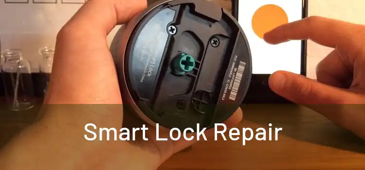  Smart Lock Repair 